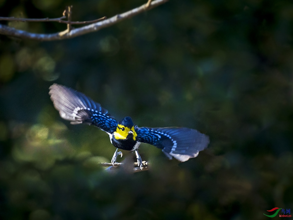 _L4I6628�Ƽ�ɽȸ-����.jpg