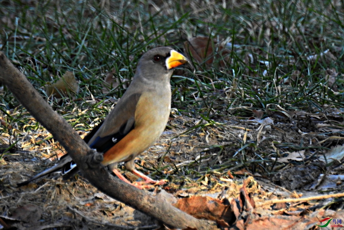 DSCN2457.JPG