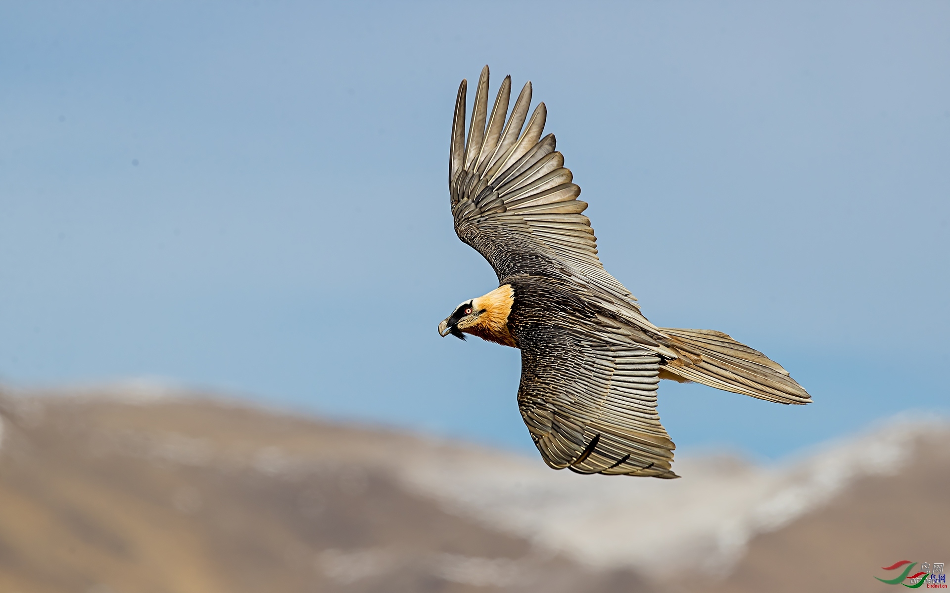 ����  ��ʦ�������Ĵ�ʡ���Ӳ���Ǽ����������������.jpg