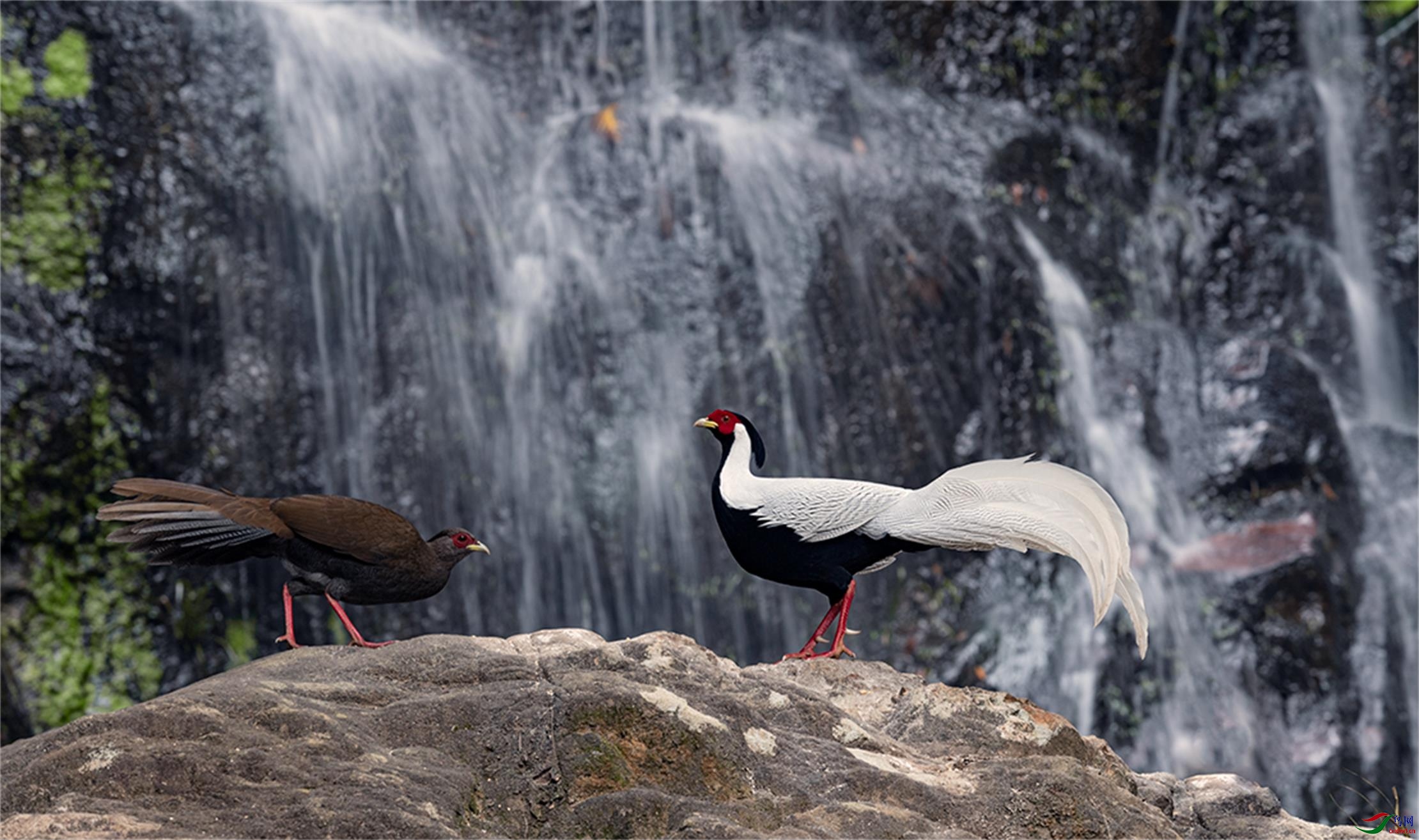 DSC_2908-1 - ����.jpg