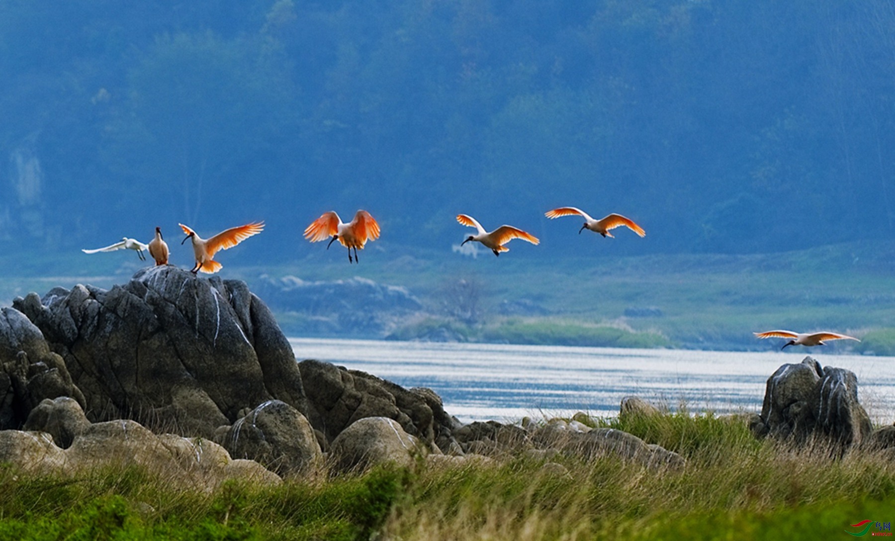 DSC_0586-Exposure (1)_����_����.jpg