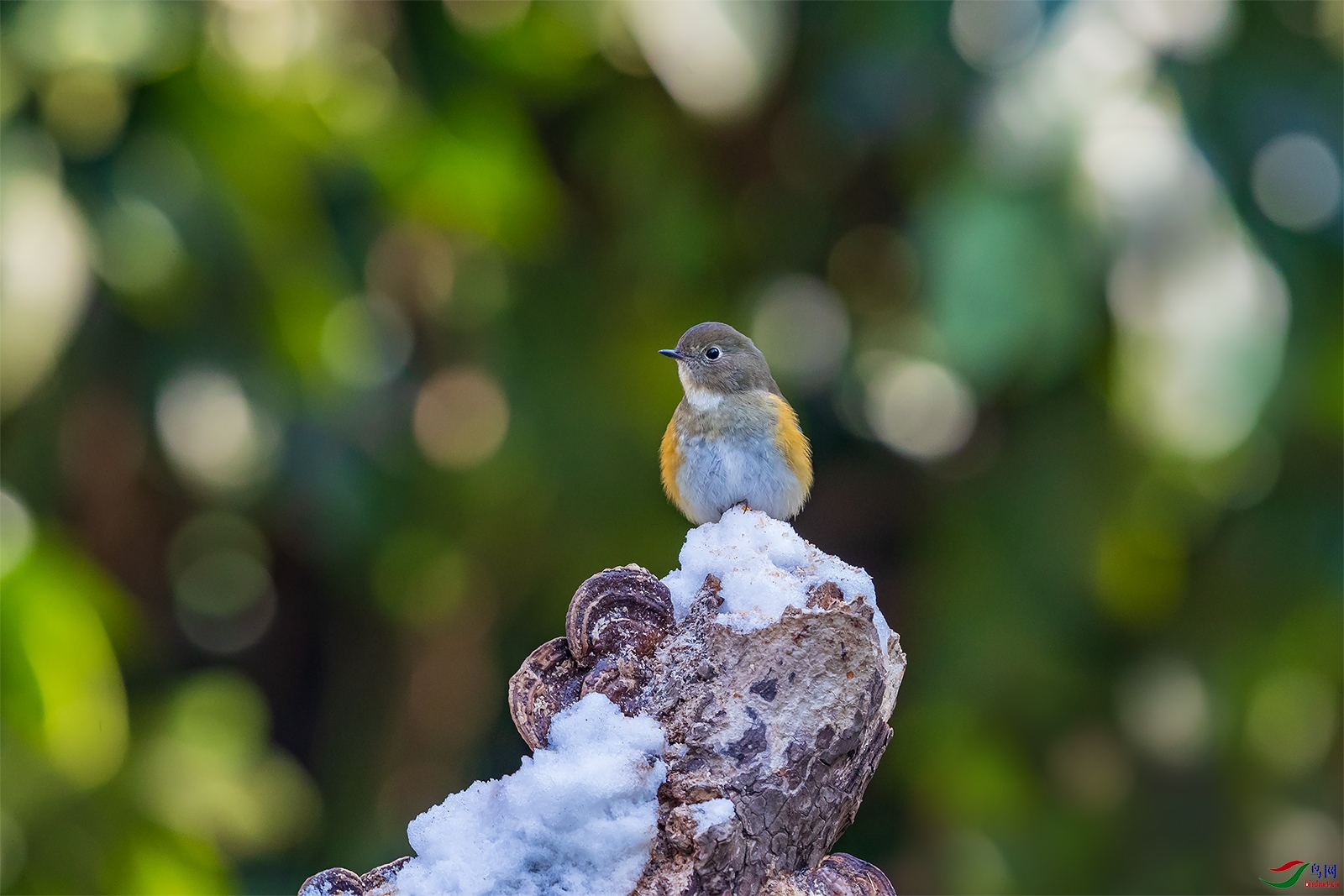1DX_1584-1.jpg