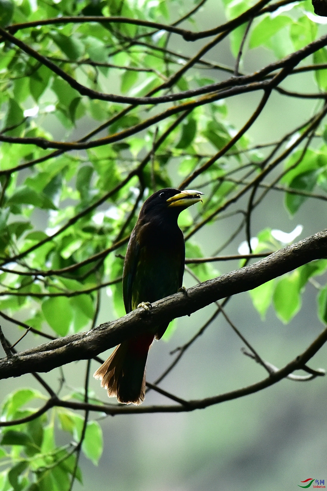 DSC_0572.JPG