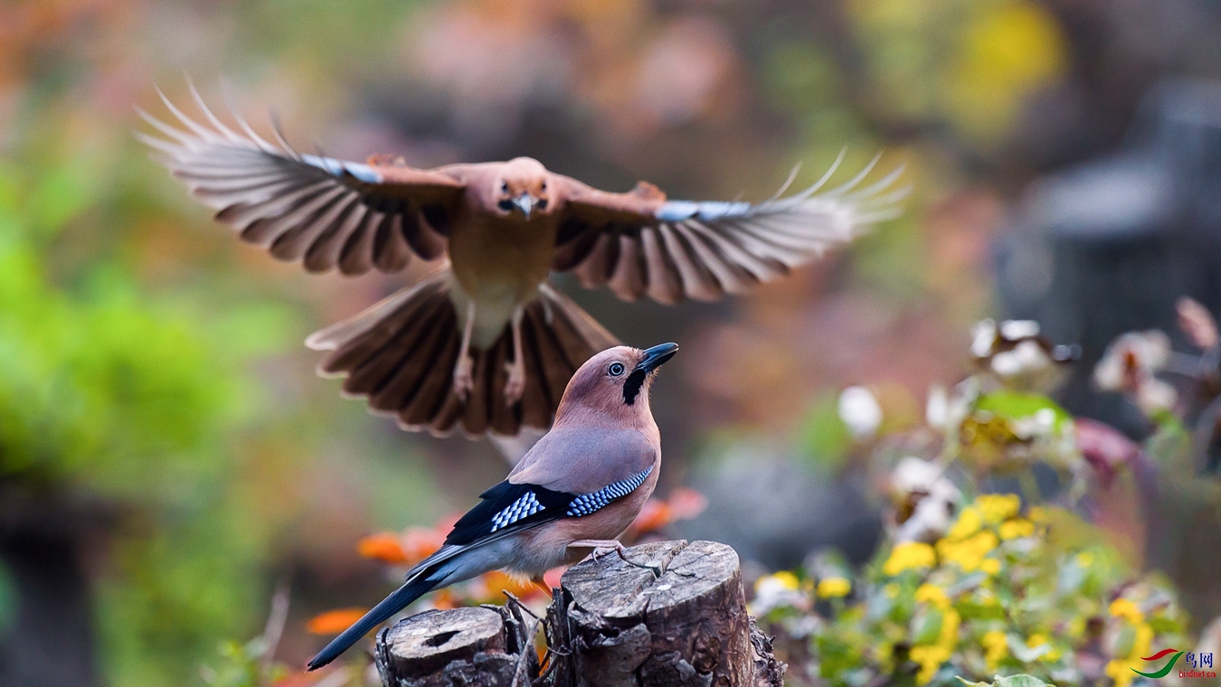 XCG_0549 - ����.jpg