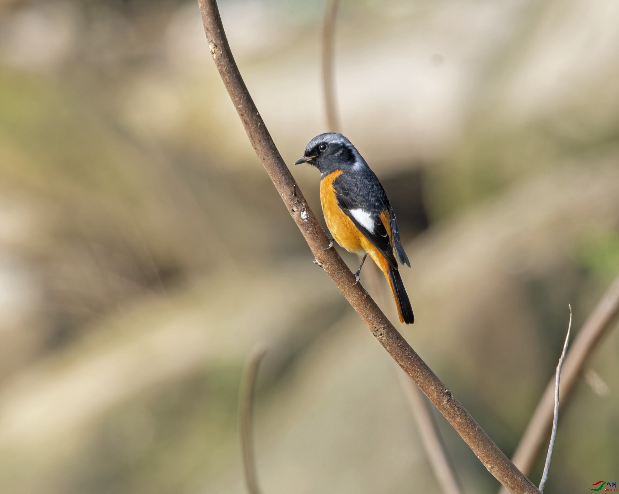 DSC_0147.jpg