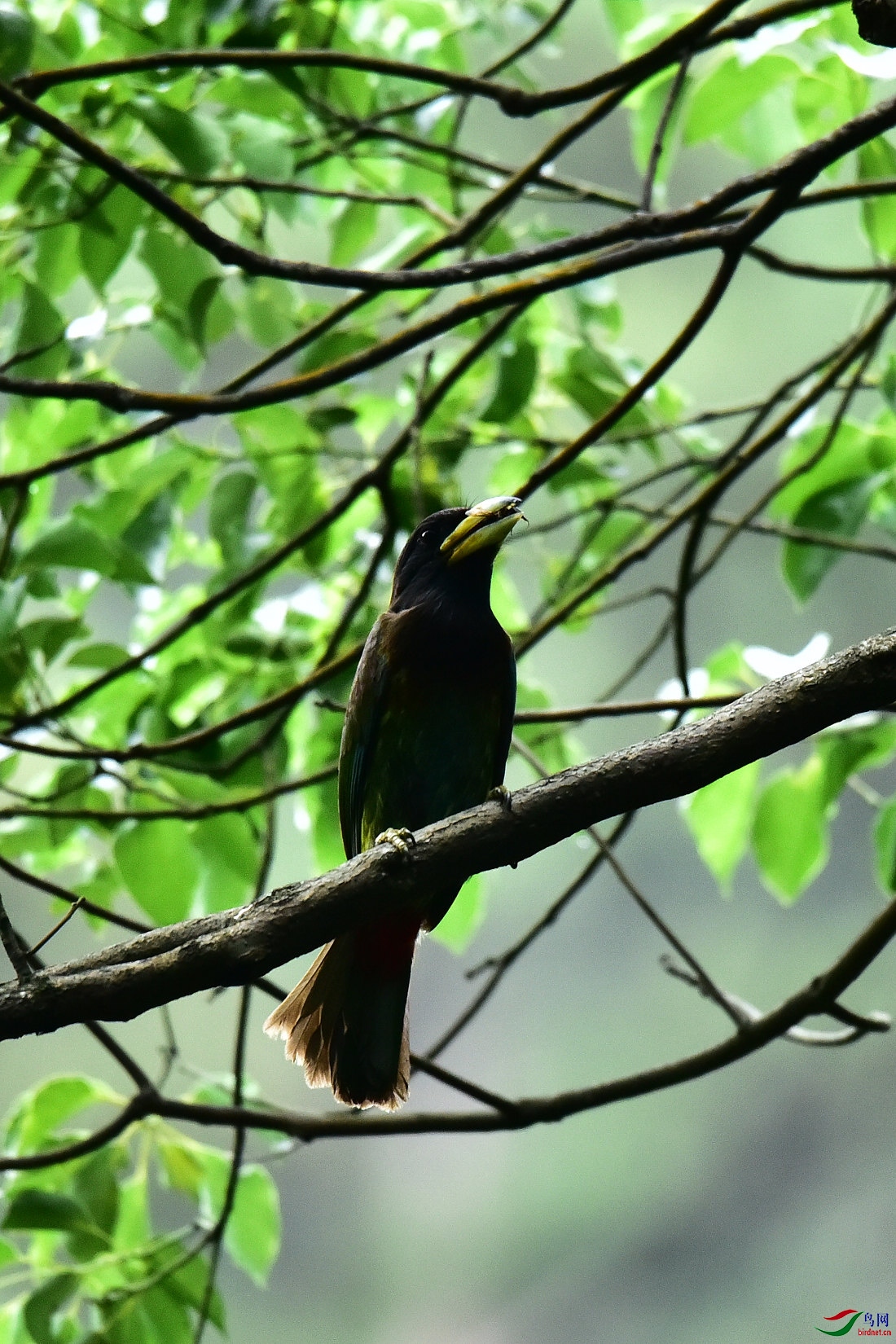 DSC_0575.JPG