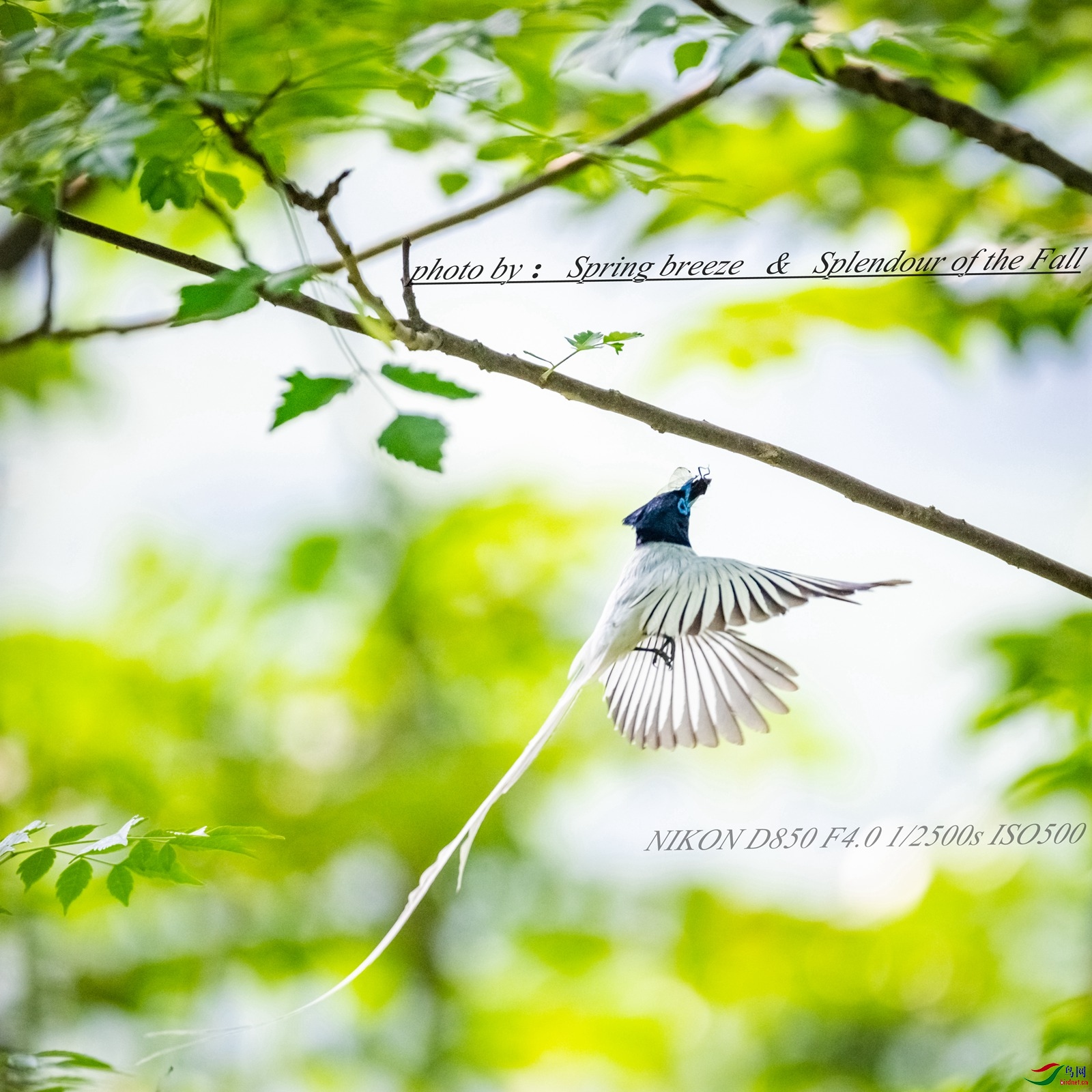 web-DSC_2610-20.jpg