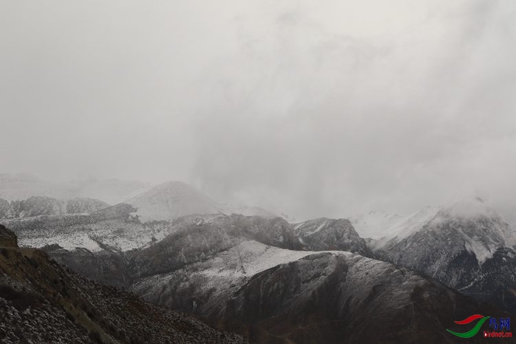 0S2A0977.JPG
