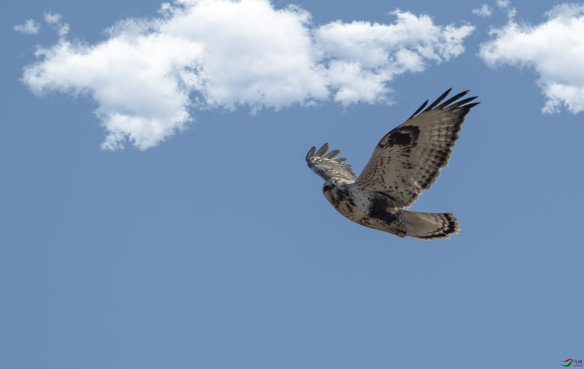 DSC_9282-1.jpg