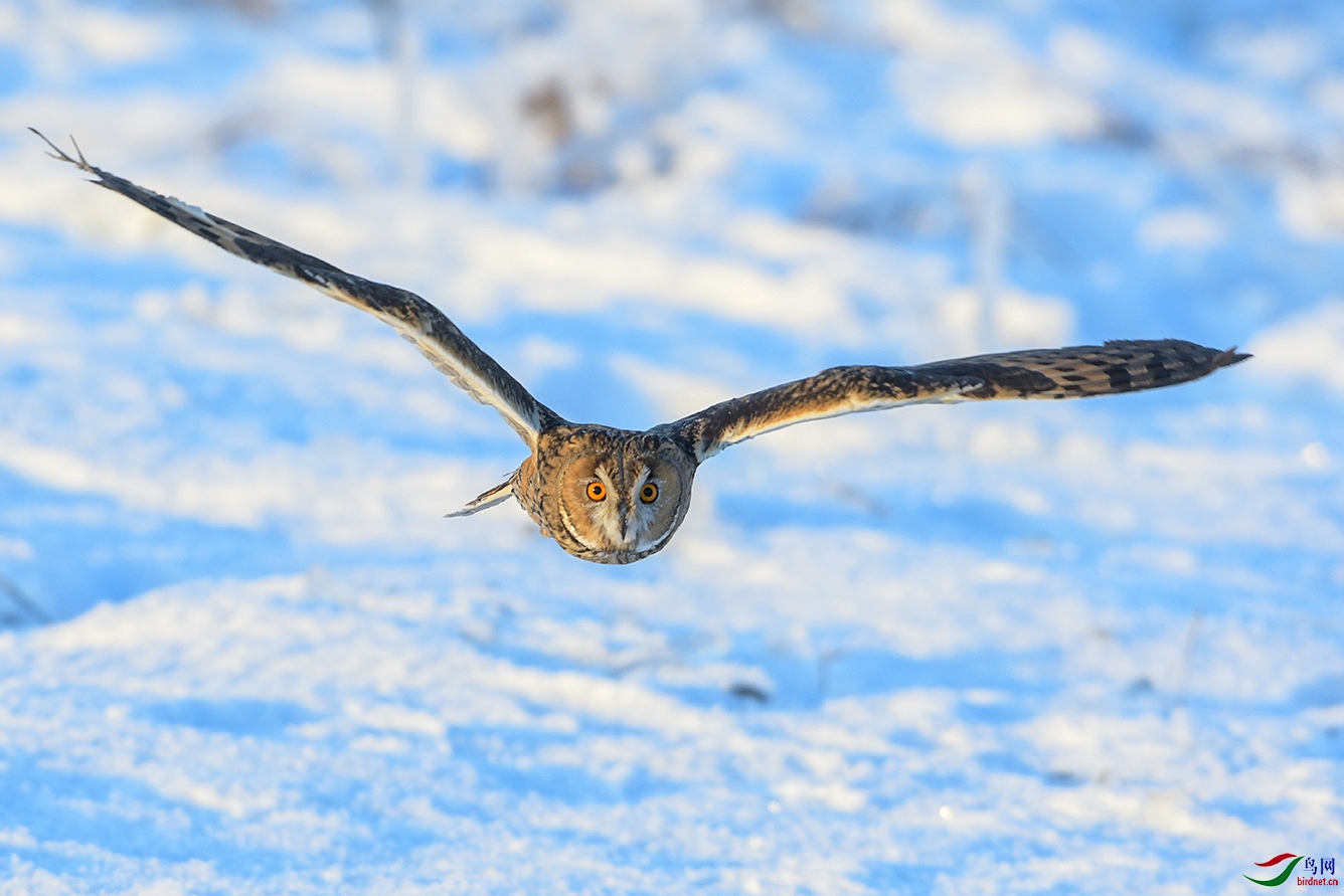DSC_7170-2.jpg
