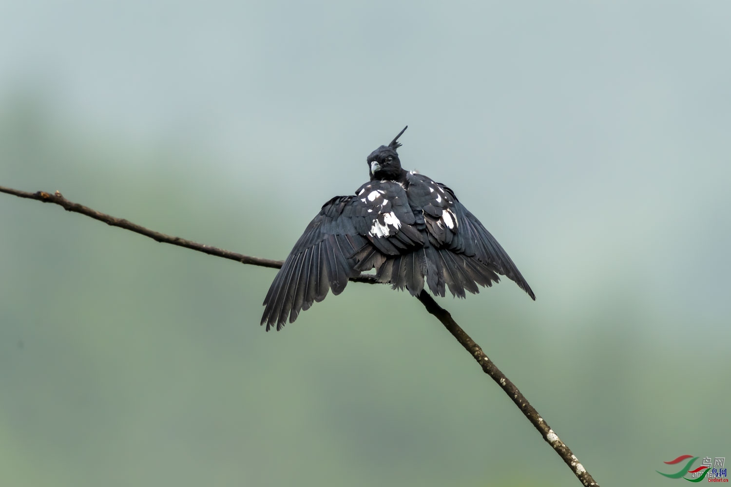 ���� ��ʦ�����ڹ㶫ʡ�ع�����Դ����������.jpg