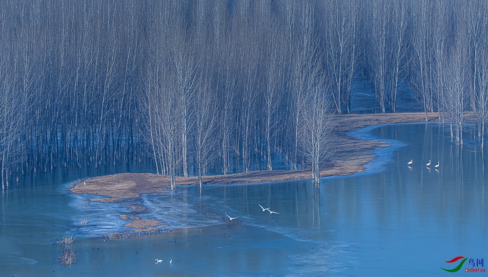 DSC_0896.jpg