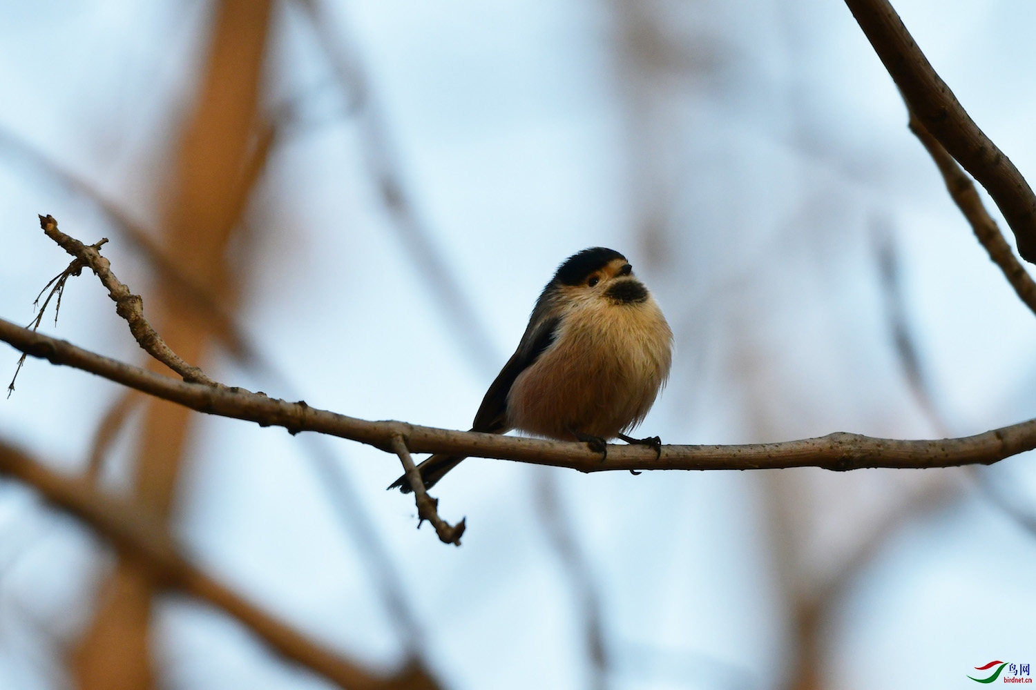 DSC_8939.jpg