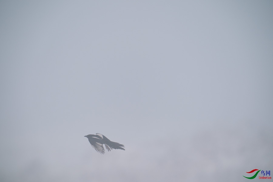 DSC00724.jpg