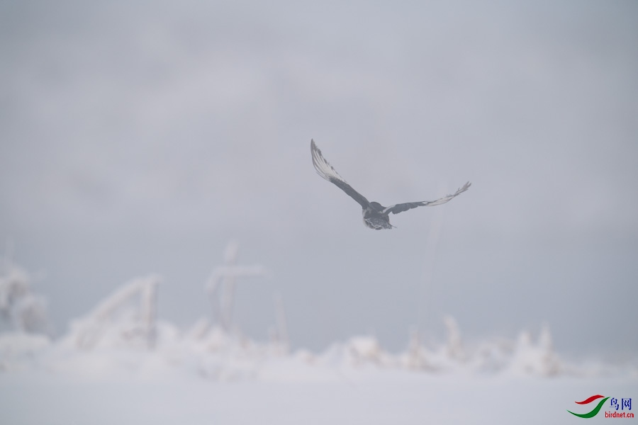 DSC00717.jpg