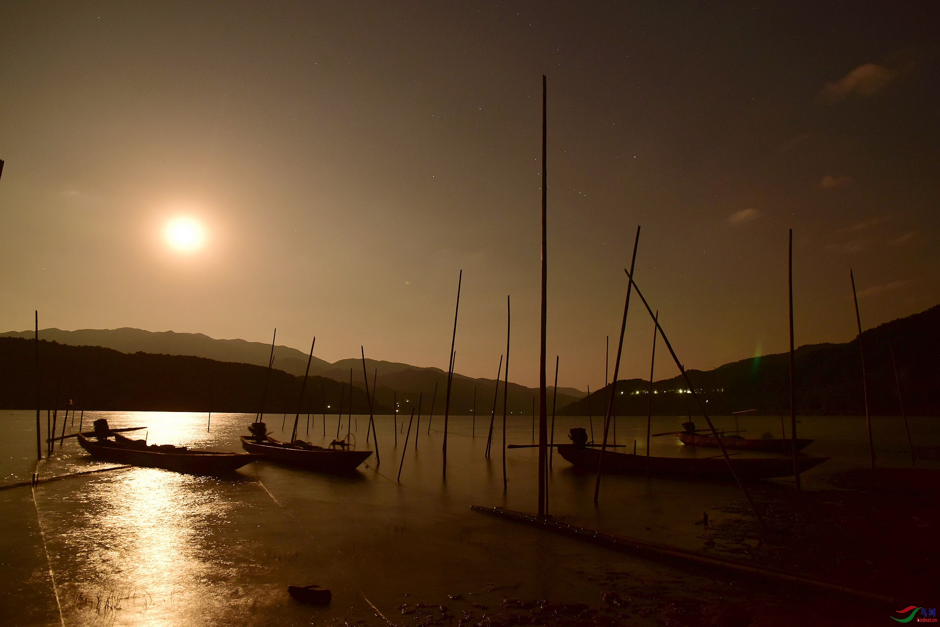 D8I_8580.jpg