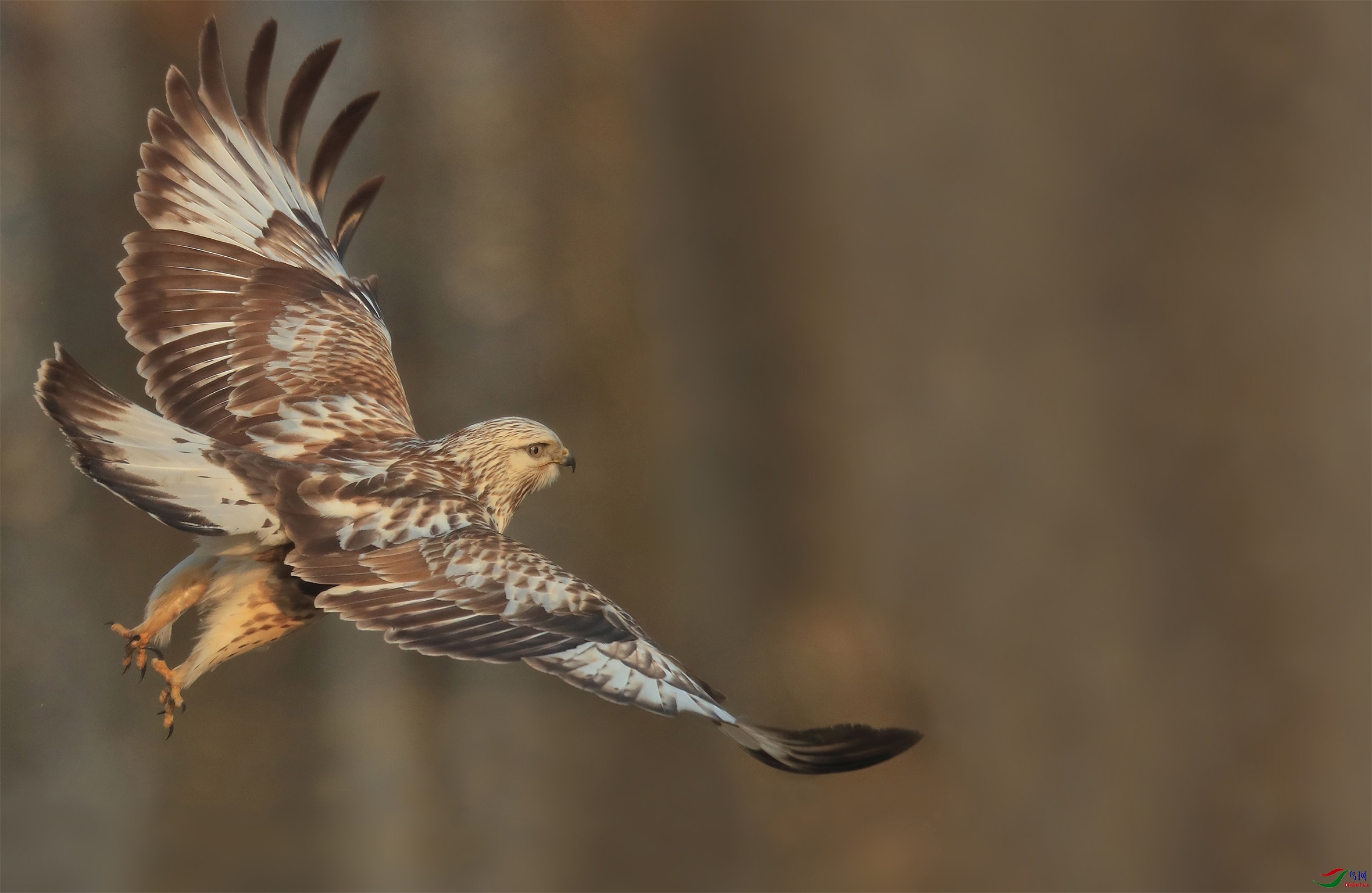 9999 - ����.jpg