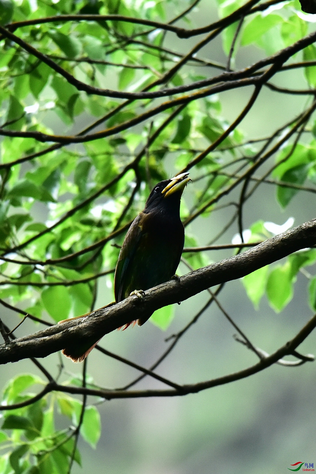 DSC_0579.JPG