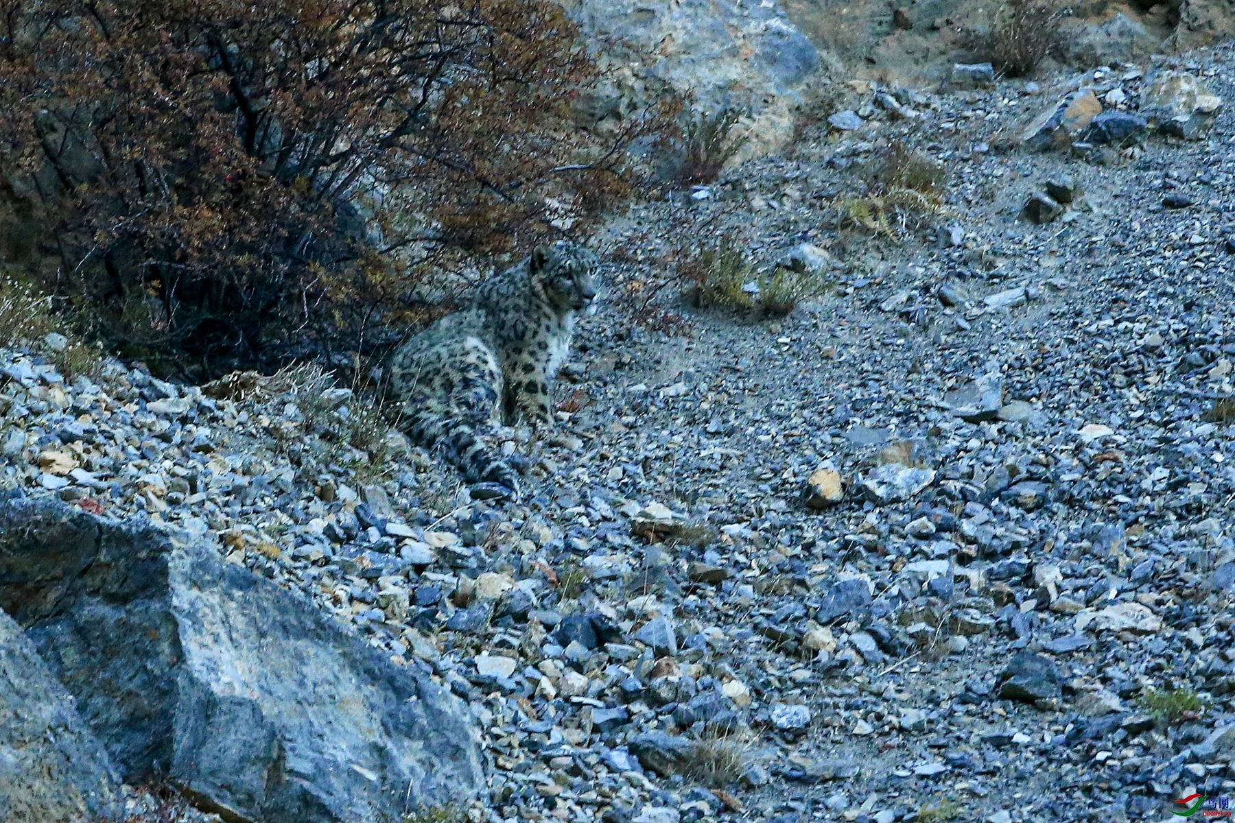 AB1I1322.JPG