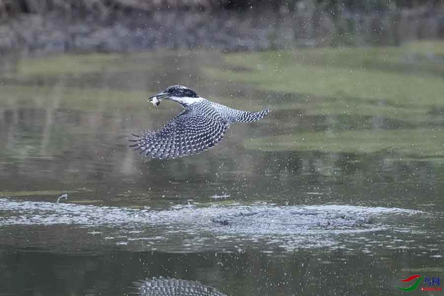 20180224-DSC00982-28 - ����.JPG