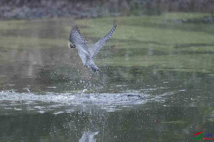 20180224-DSC00977-23 - ���� (2).JPG