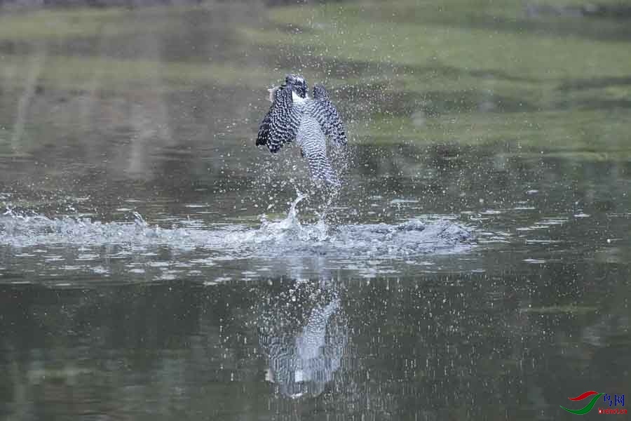 20180224-DSC00976-22 - ����.JPG