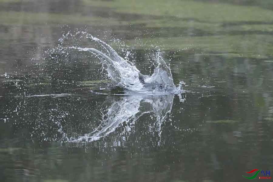 20180224-DSC00967-13 - ����.JPG