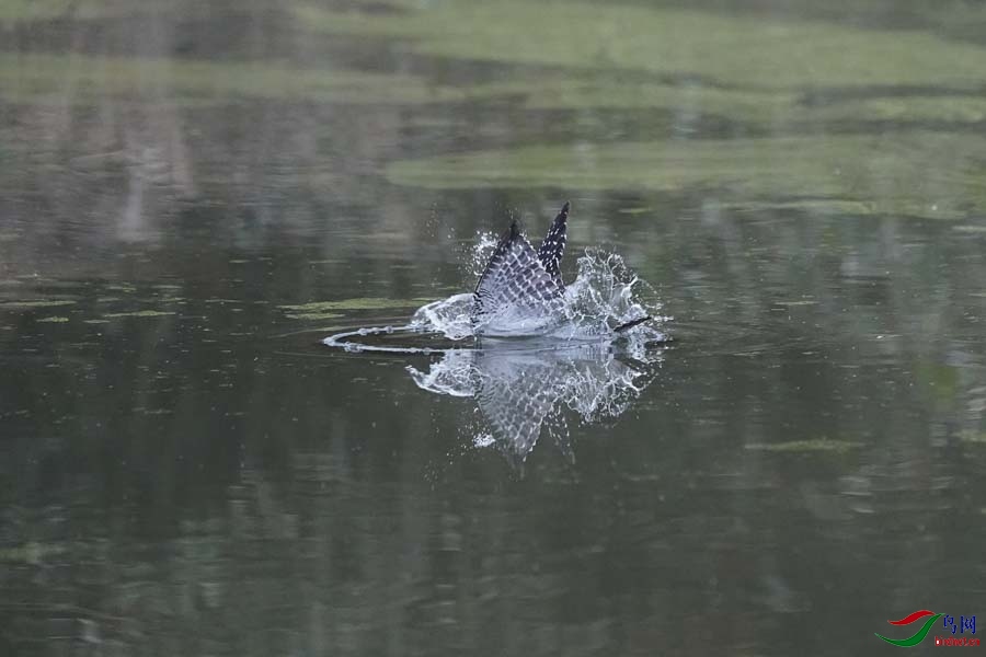 20180224-DSC00965-11 - ���� (2).JPG