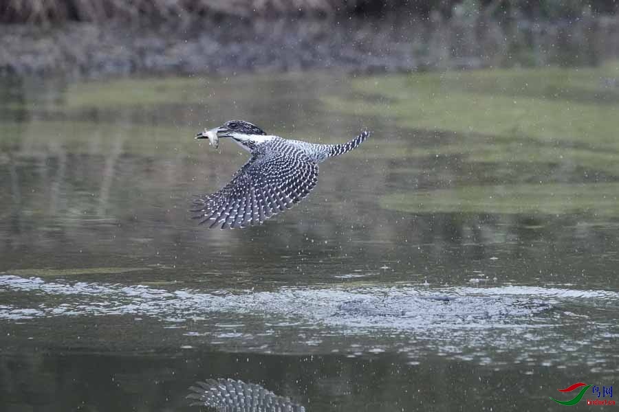 20180224-DSC00984-30 - ���� (2).JPG