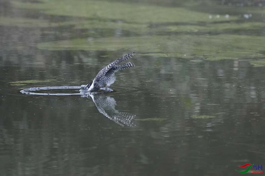 20180224-DSC00964-10 - ���� - ����.JPG