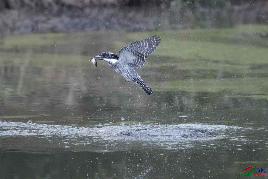 20180224-DSC00981-27 - ���� (2).JPG