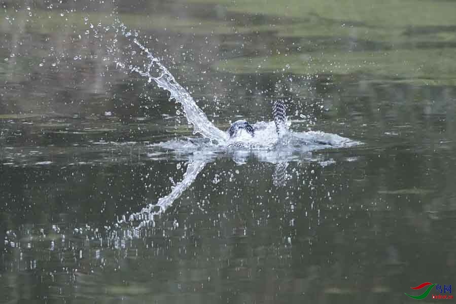 20180224-DSC00970-16 - ���� (2).JPG