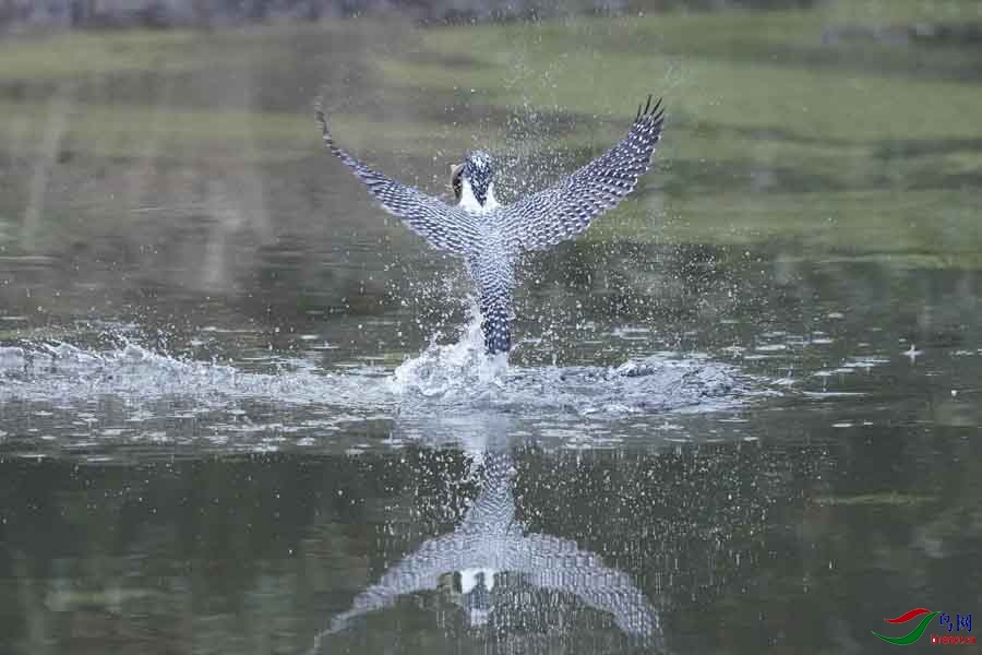 20180224-DSC00975-21 - ���� (2).JPG