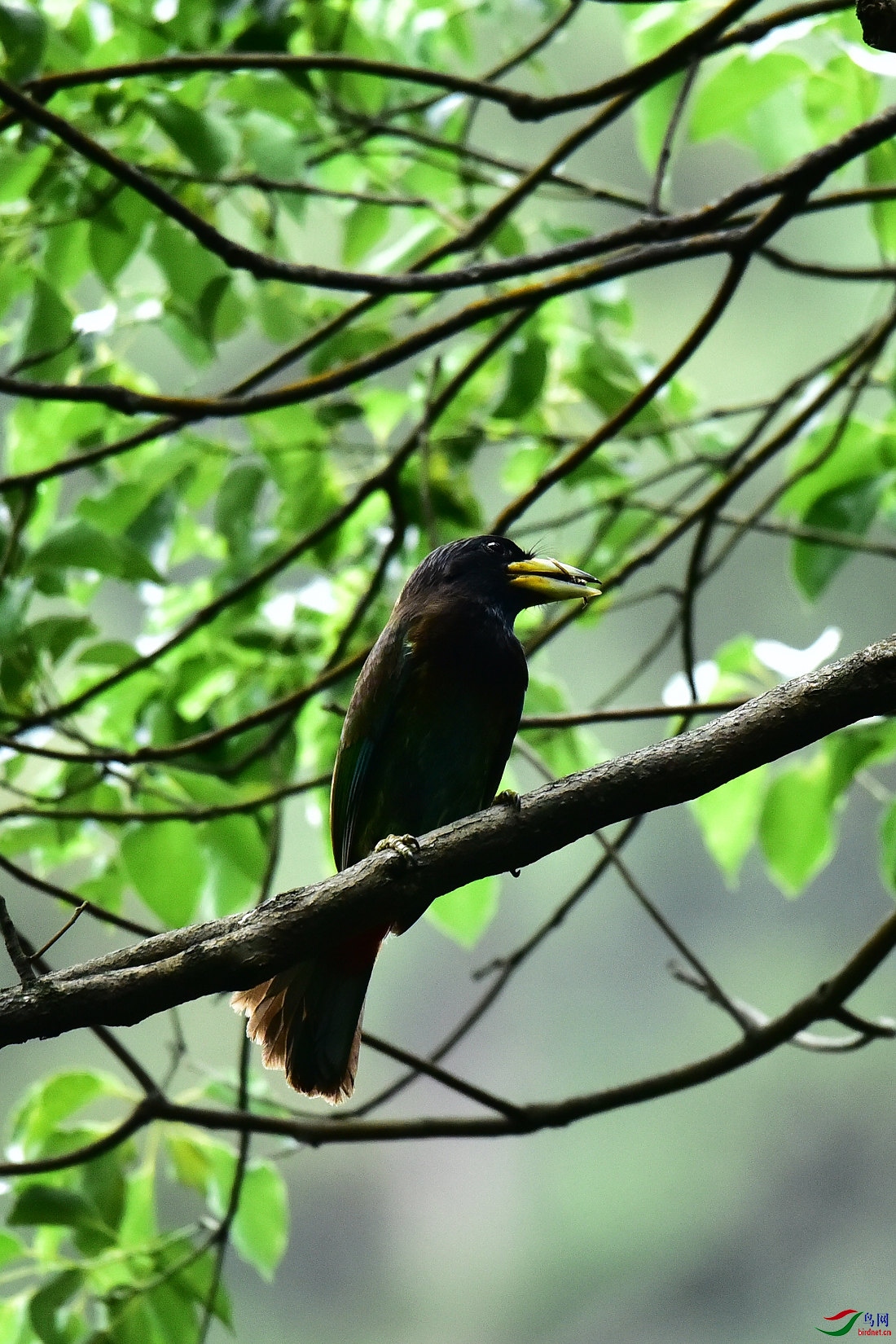 DSC_0581.JPG