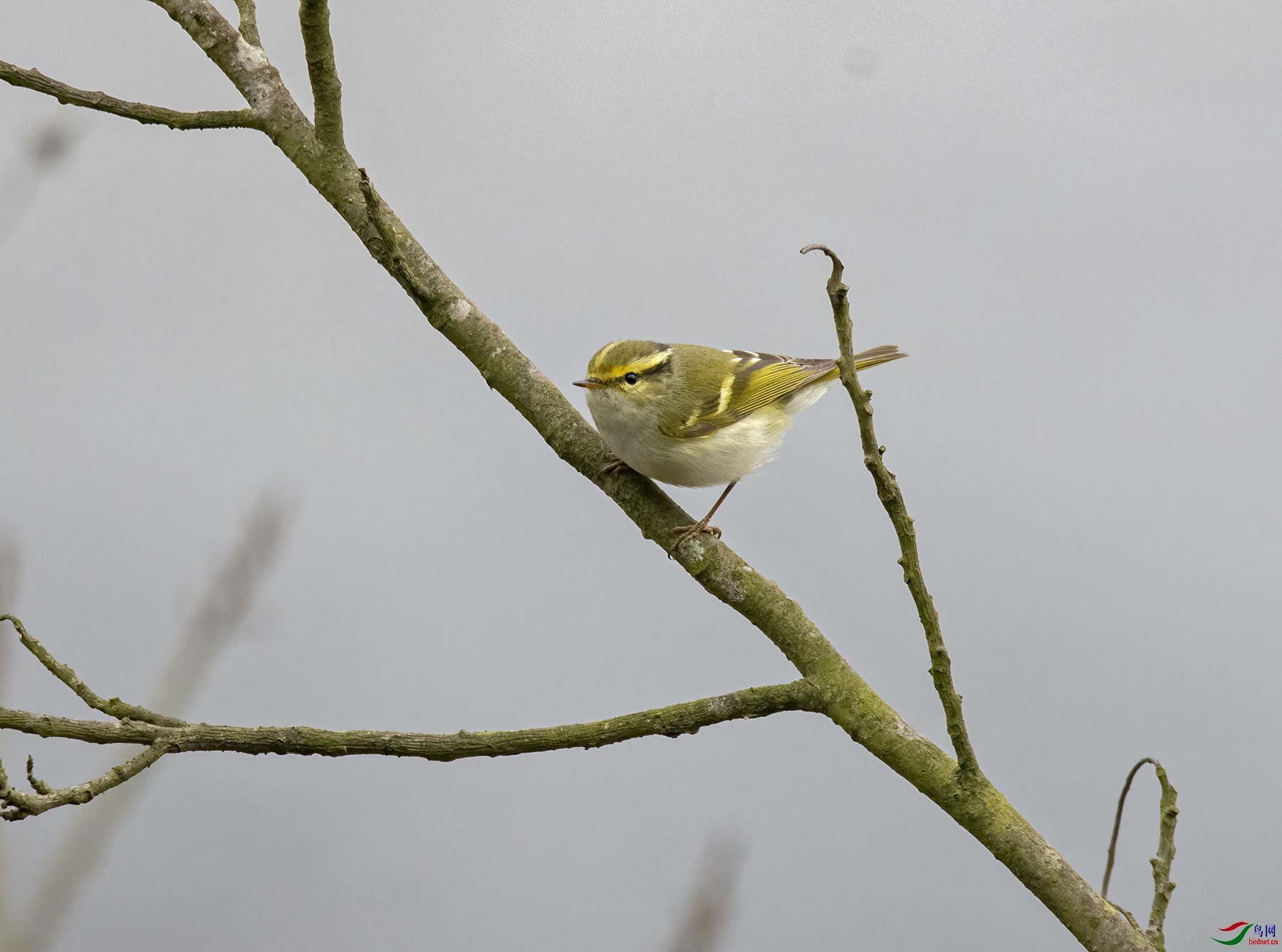 DSC_1595.jpg