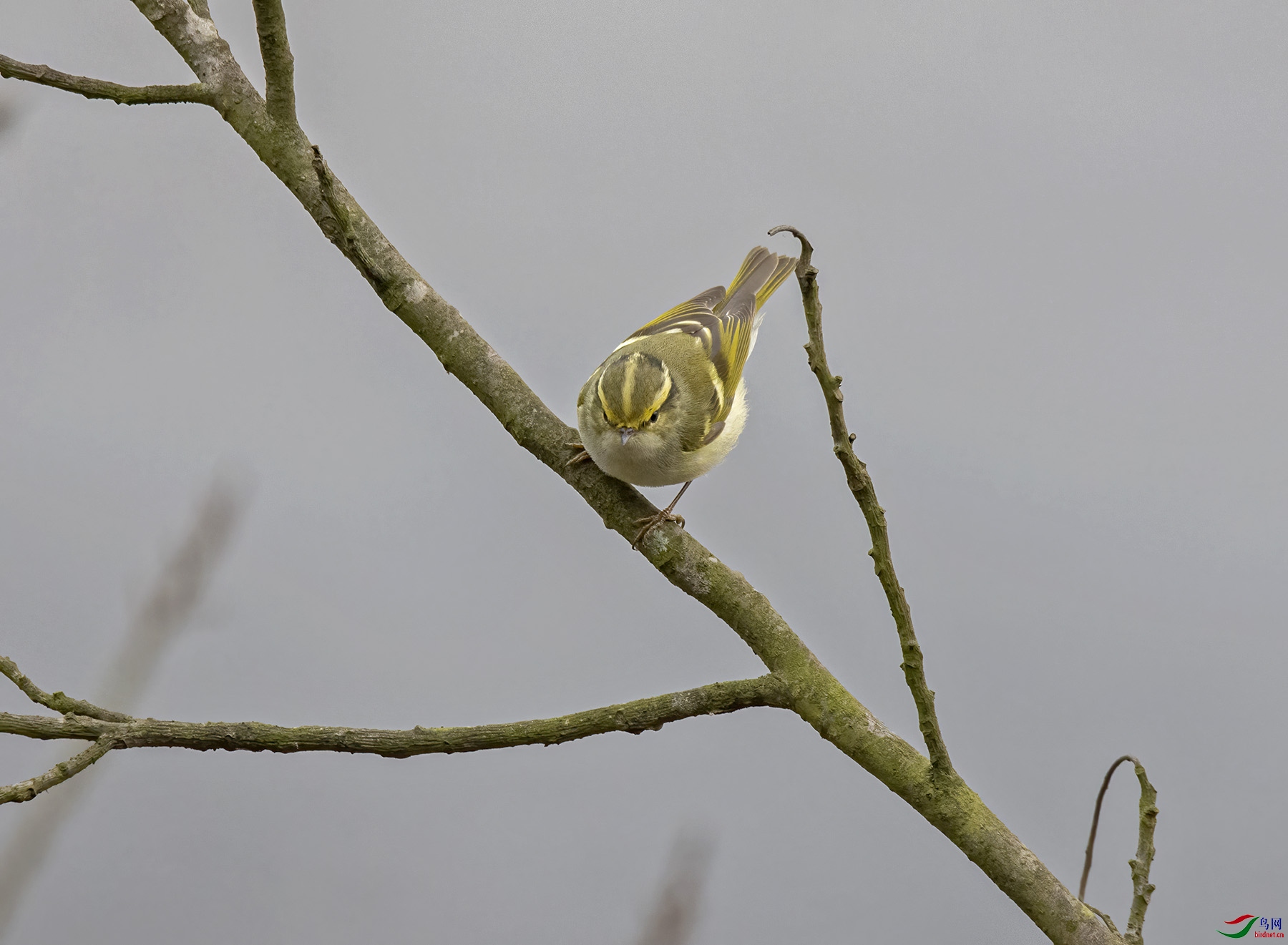 DSC_1596.jpg