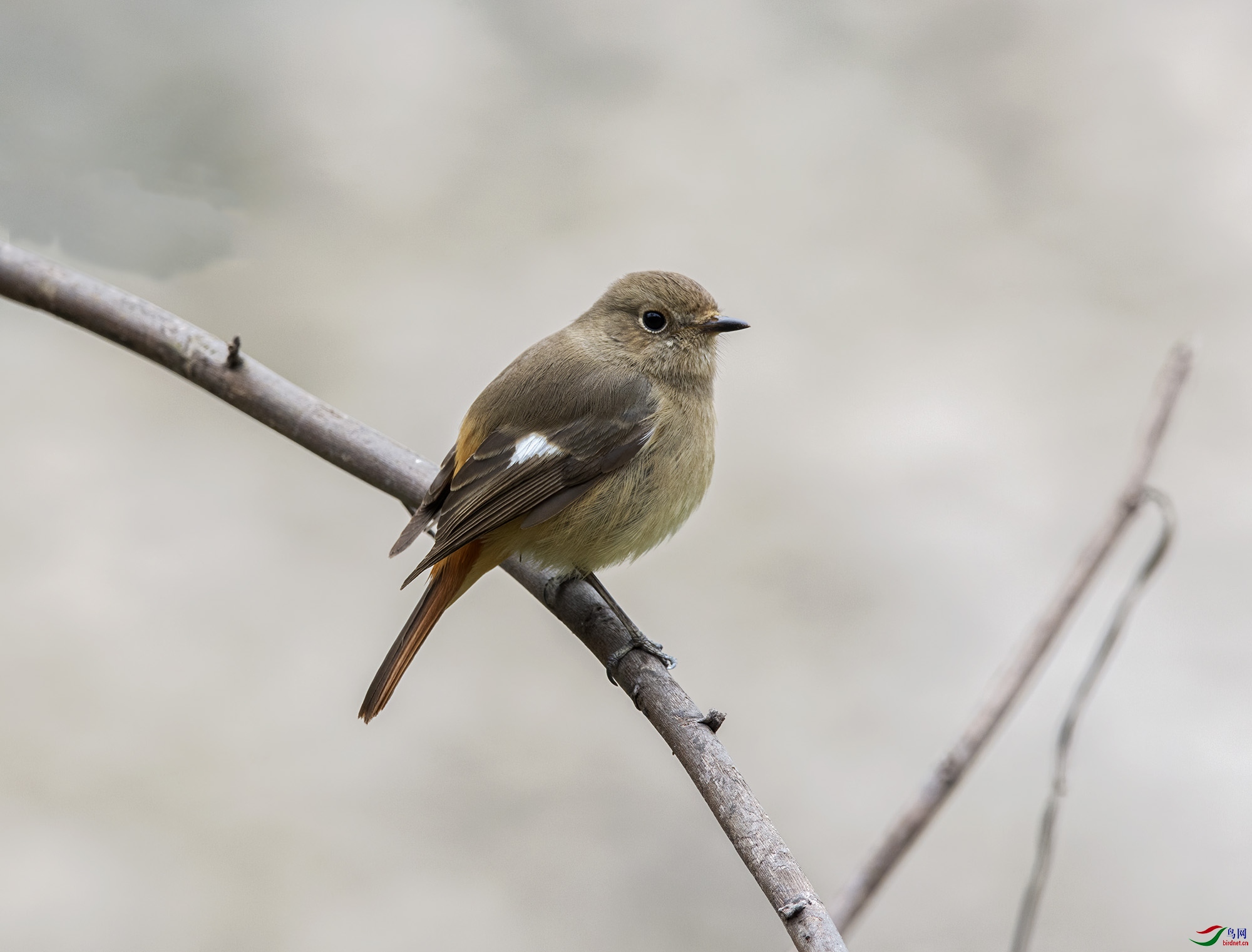 DSC_1344.jpg