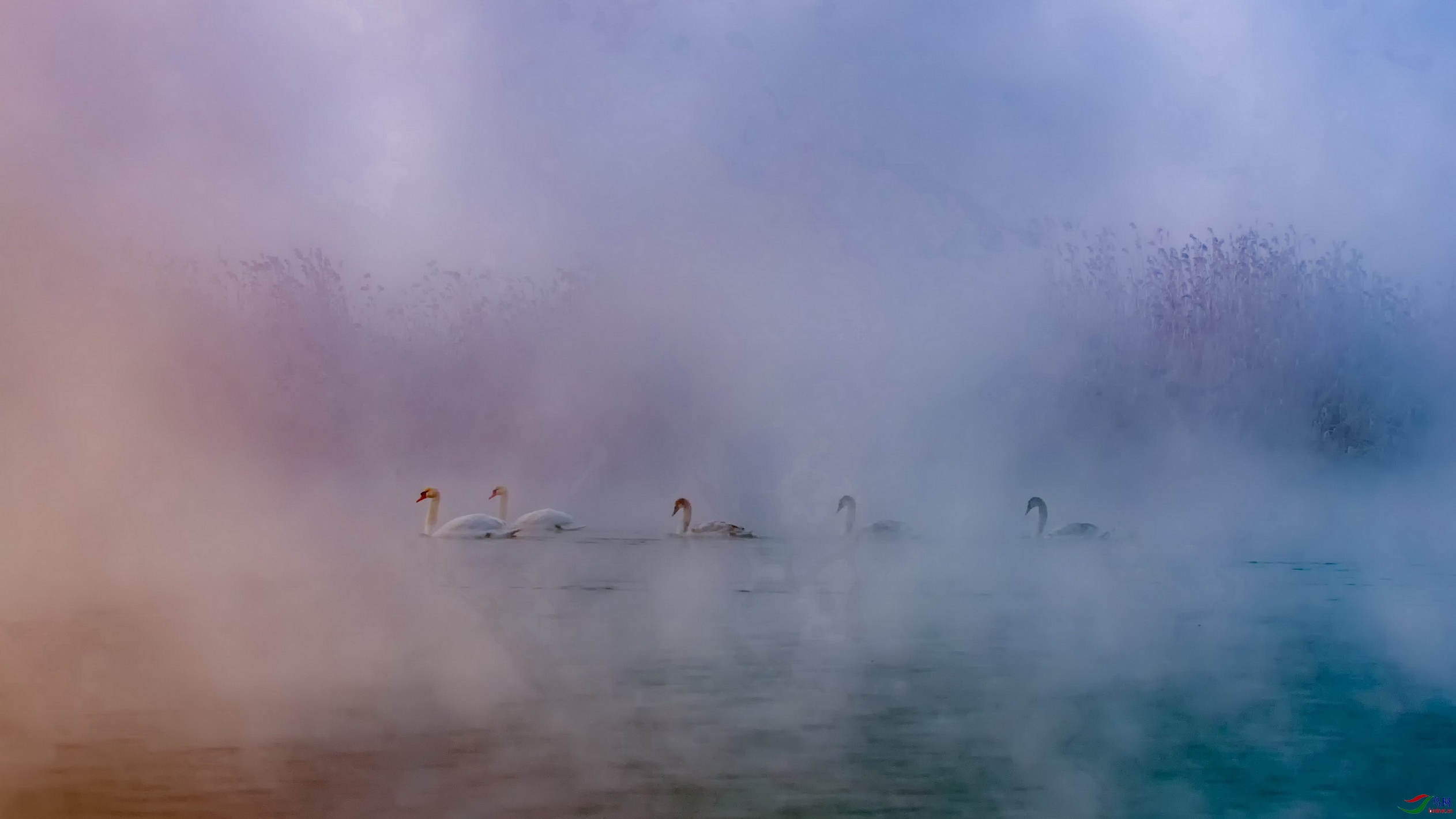 DSC_2045F03C.jpg