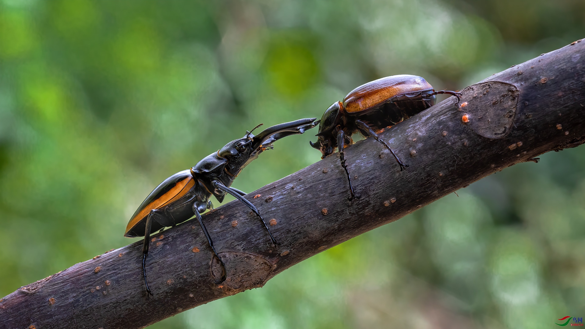 _G3A9235-1.jpg