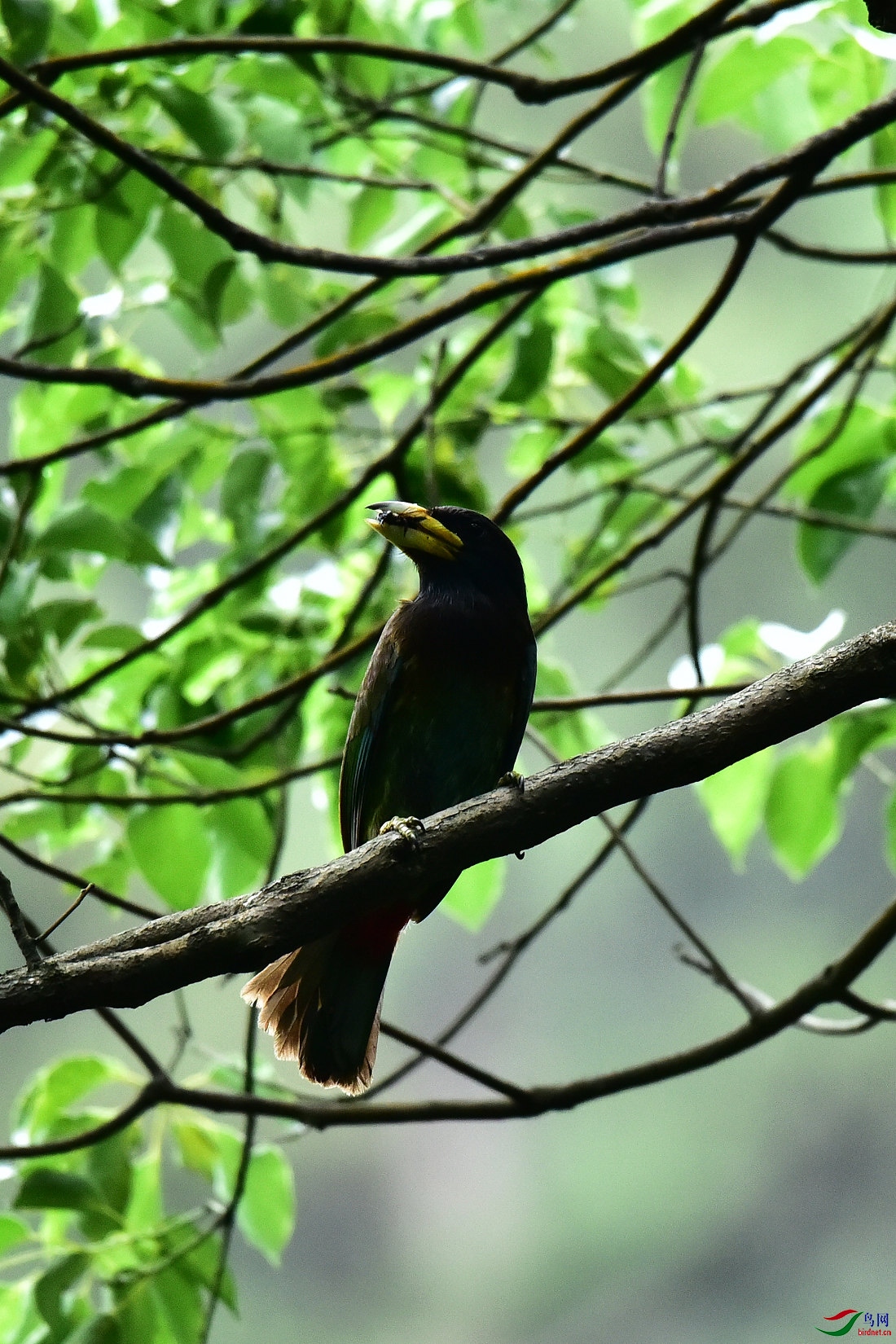 DSC_0582.JPG