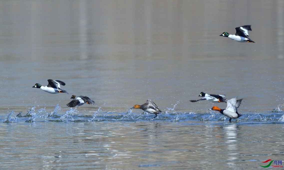 _DSC5766_00001-01-p-2.jpg