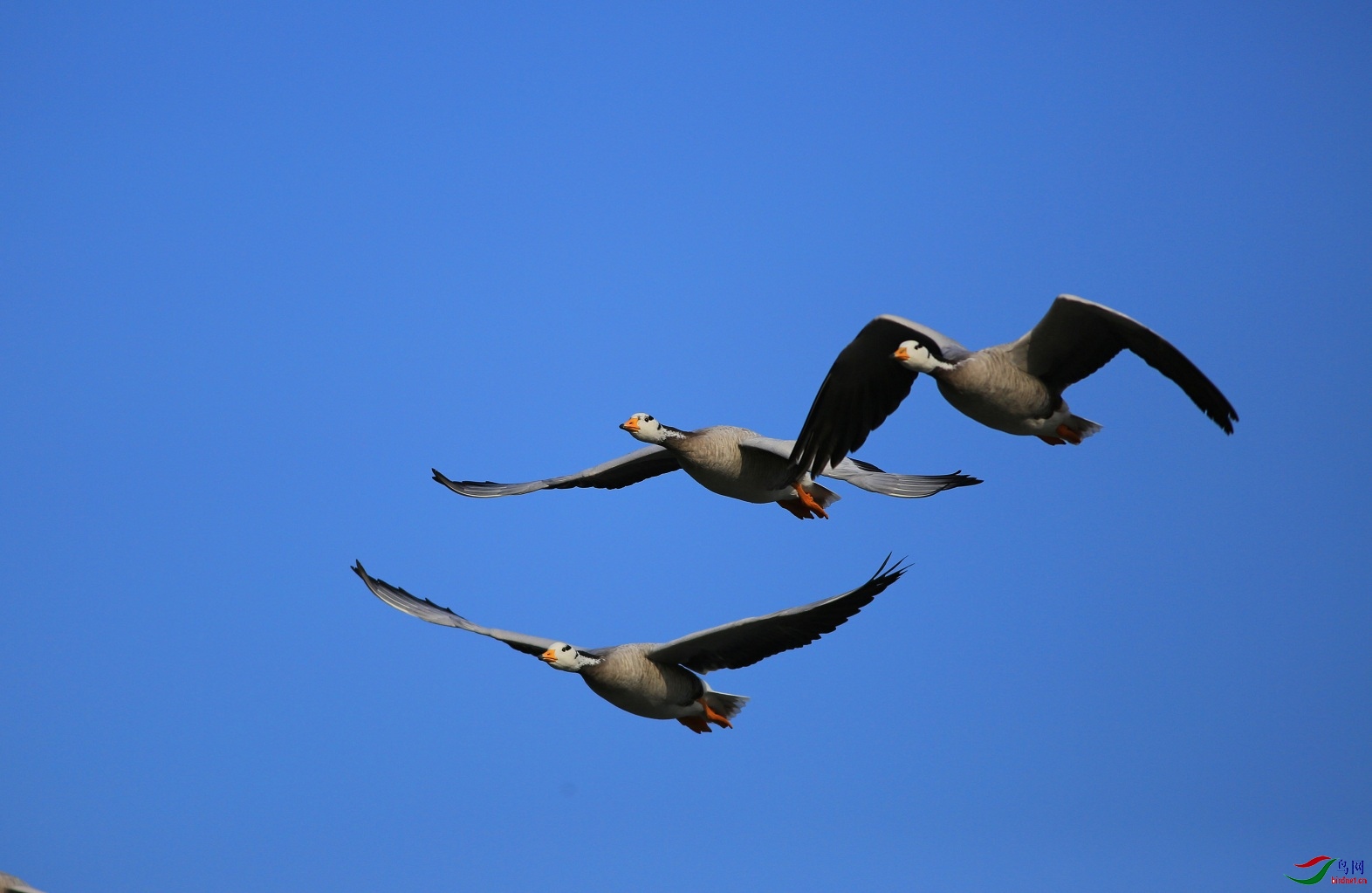 IMG_3112-3.jpg