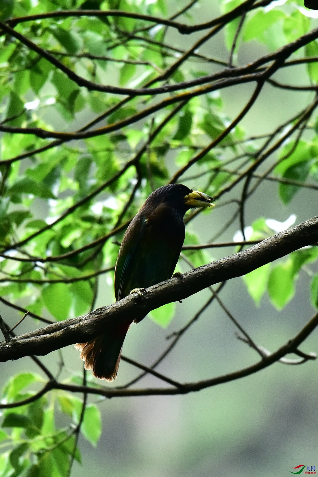 DSC_0584.JPG