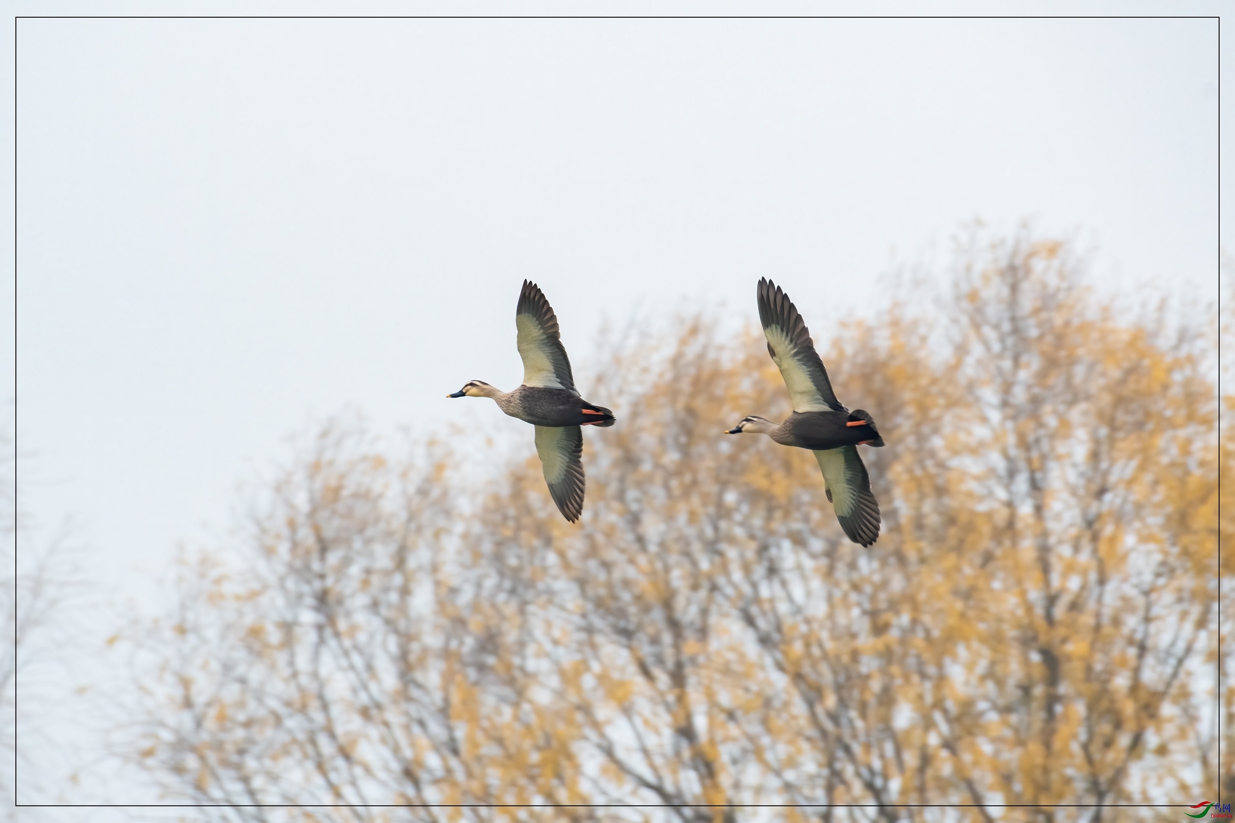 100�����ϡ�