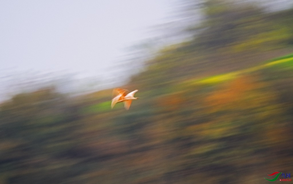 DSC_1573-Exposure_����.jpg
