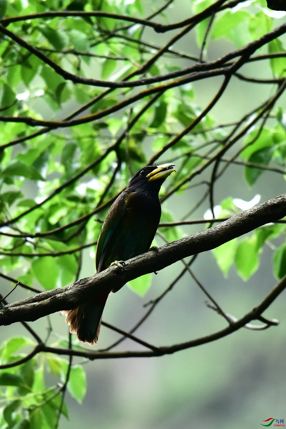 DSC_0586.JPG