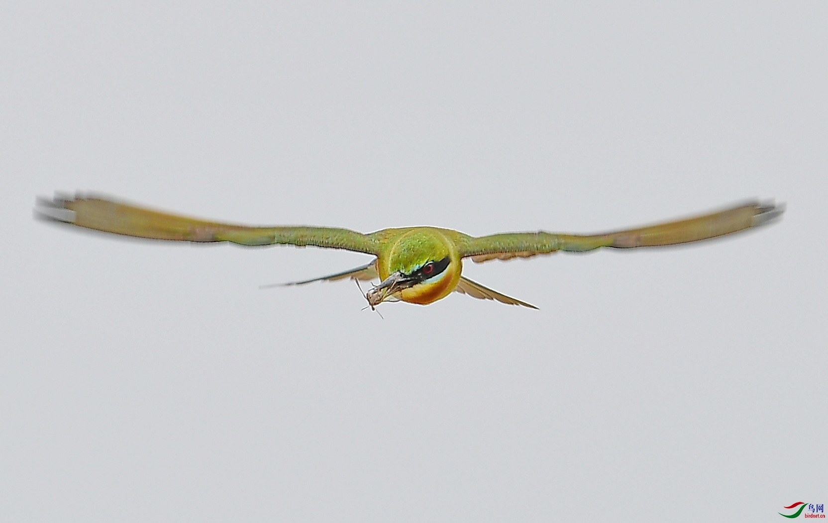 DSC_1879.JPG