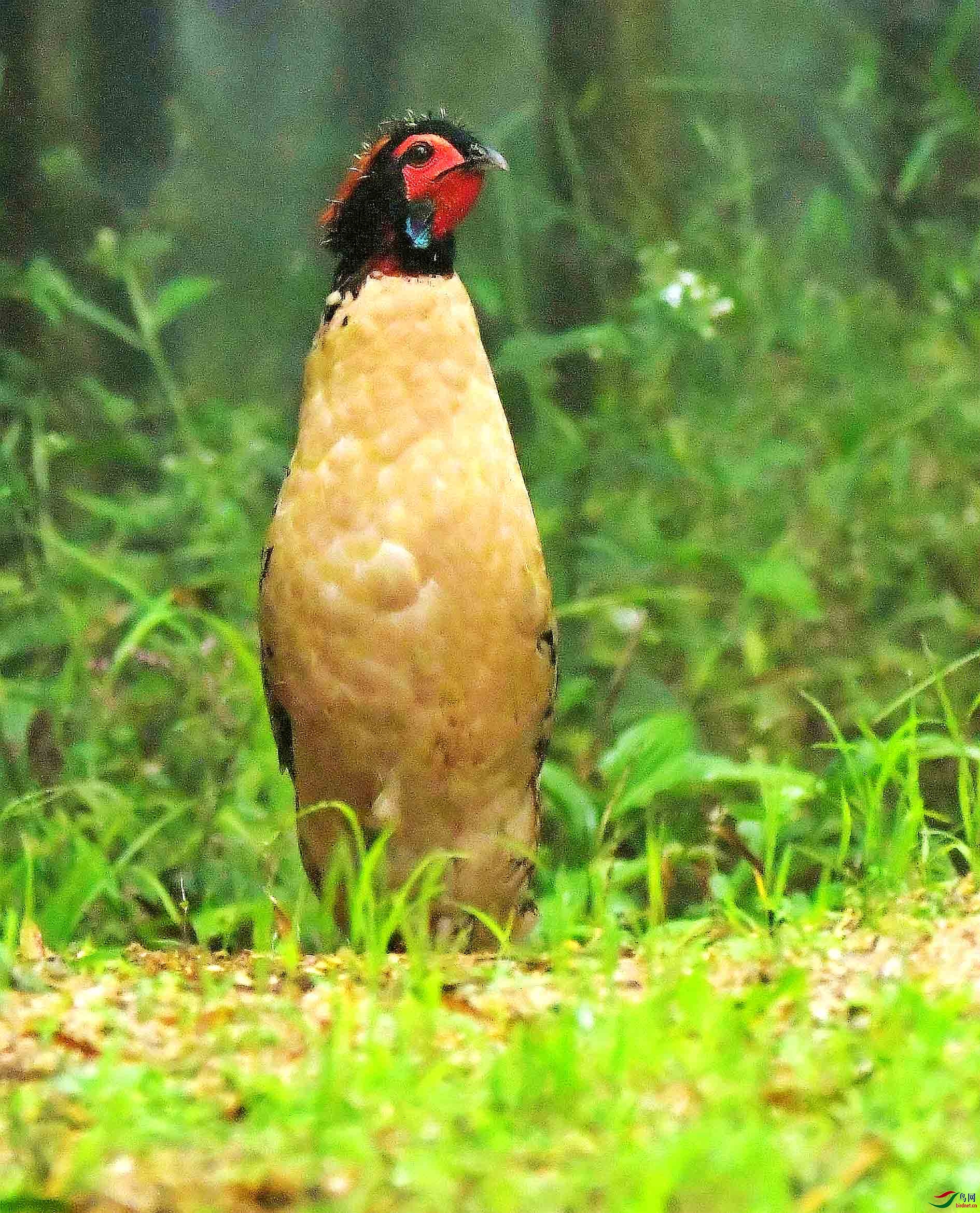 DSC_0814_����.jpg