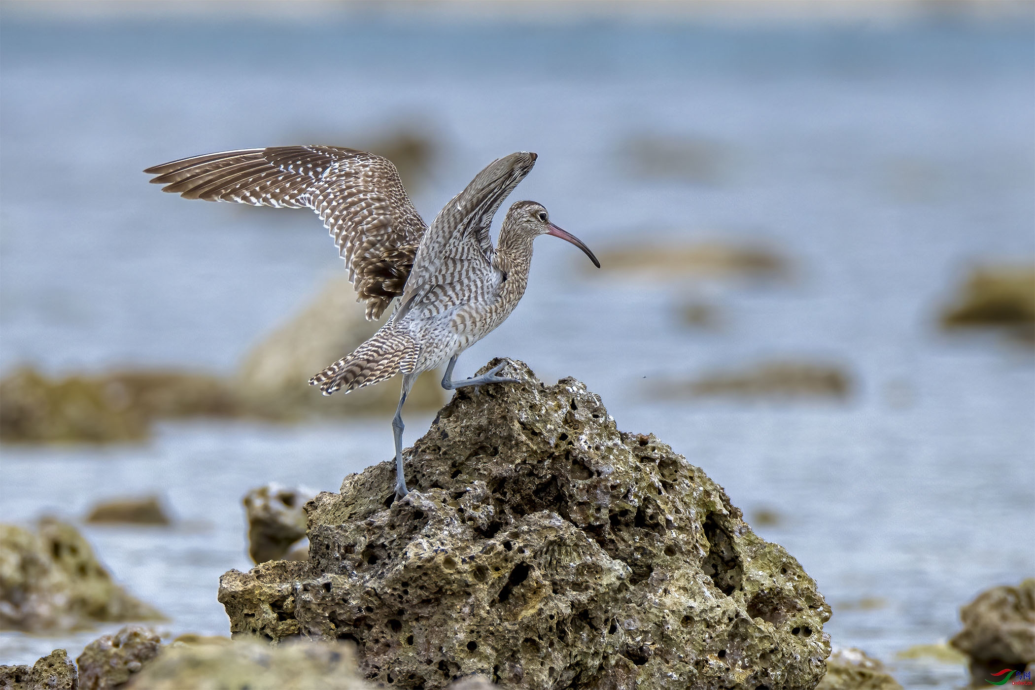 DSC_7211-1.jpg
