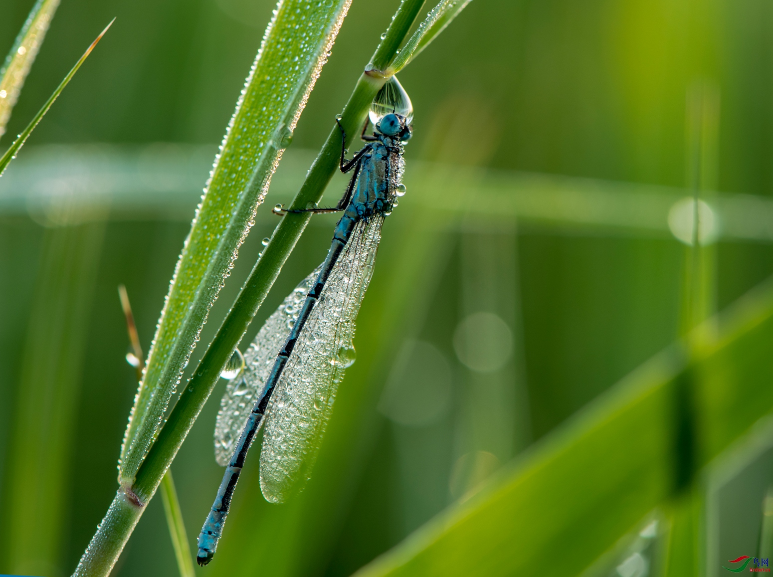 DSC_4765_����.jpg